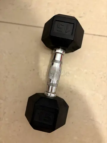 15kg Hex Rubber Dumbbell - Single