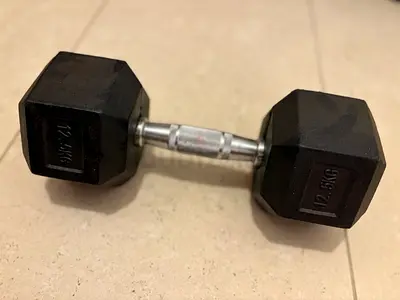 Used 12.5 kg Hex Rubber Dumbbell - Single Hand Weight