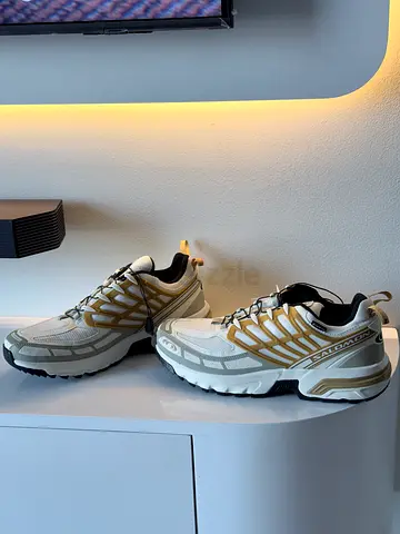 Salomon shoes brand new