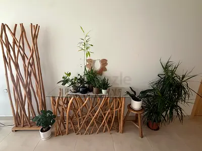 Mixed plants pack