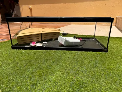 Turtle Tank with Filter and Platform