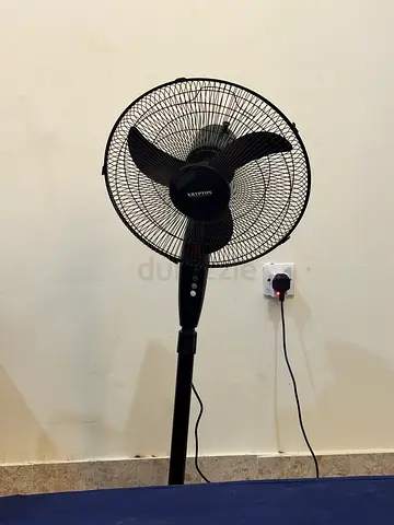Fan