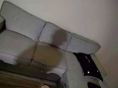 كنبة من هوم سنتر