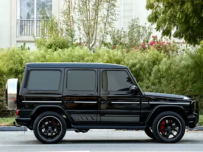2016 Mercedes-BENZ G-CLASS 缩略图 8