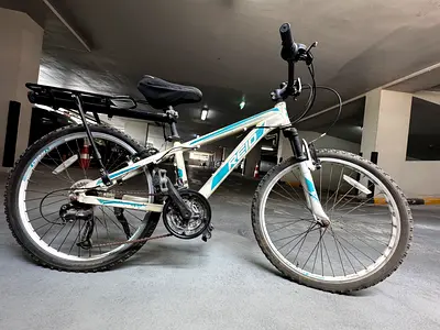 REID Used 22" Mountain Bike - Good Working Condition
