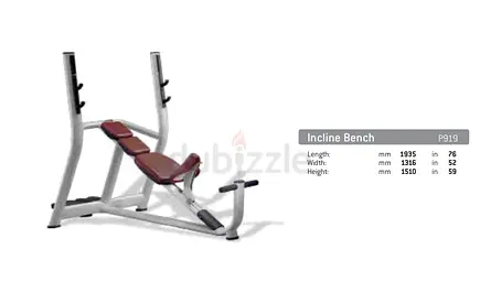 Technogym Selection Olympic Incline Bench (P919) – Commercial Gym Bench