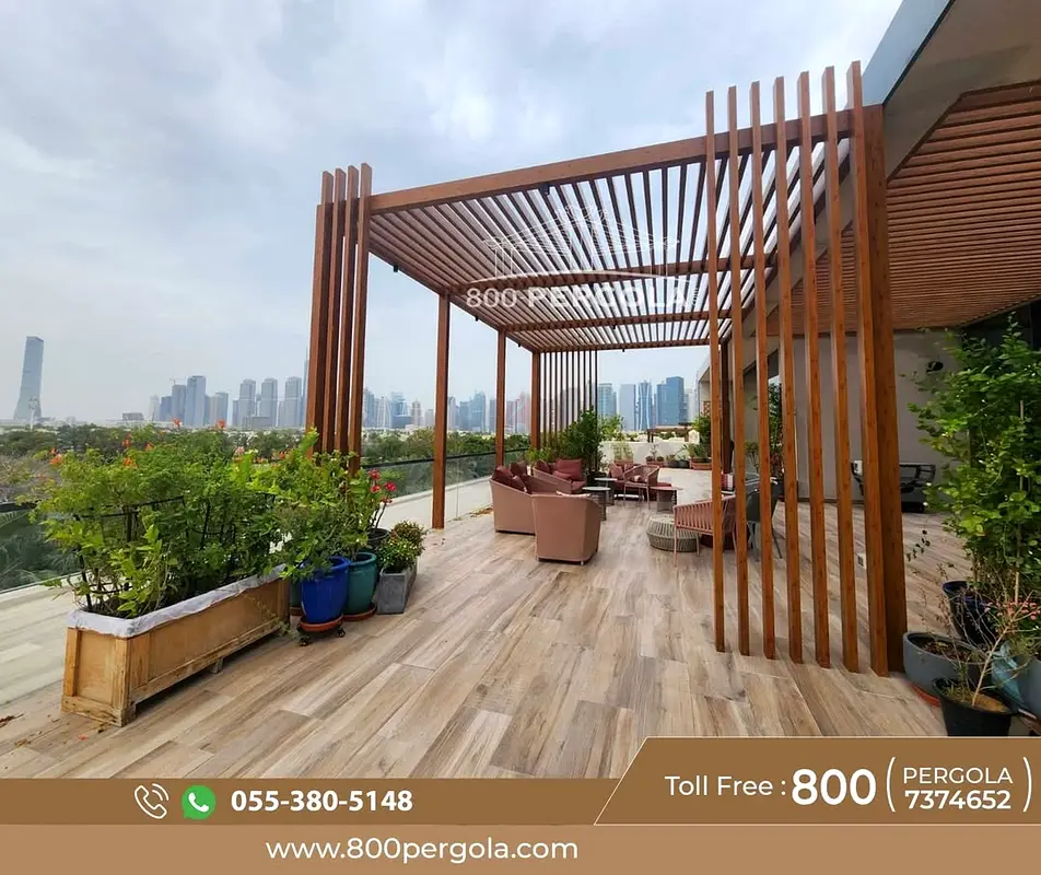 DPV_View_Image_2