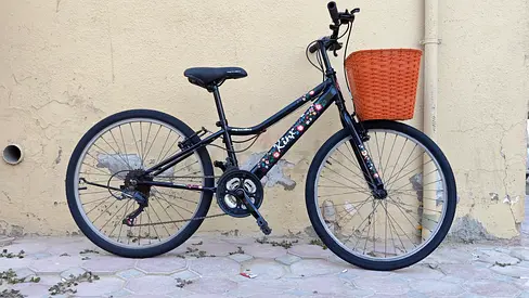 Cruiser bike size 24 Japan import Free delivery refurbished 100% working with basket and soft seat