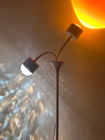 Modern dual-arm wall/bedside lamp with adjustable heads