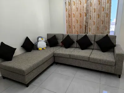 Less used sofa, washing machine, 2 door Cabinet, TV table