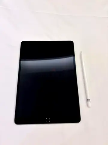 iPad Air 3rd Gen 256 GB with Apple Pencil