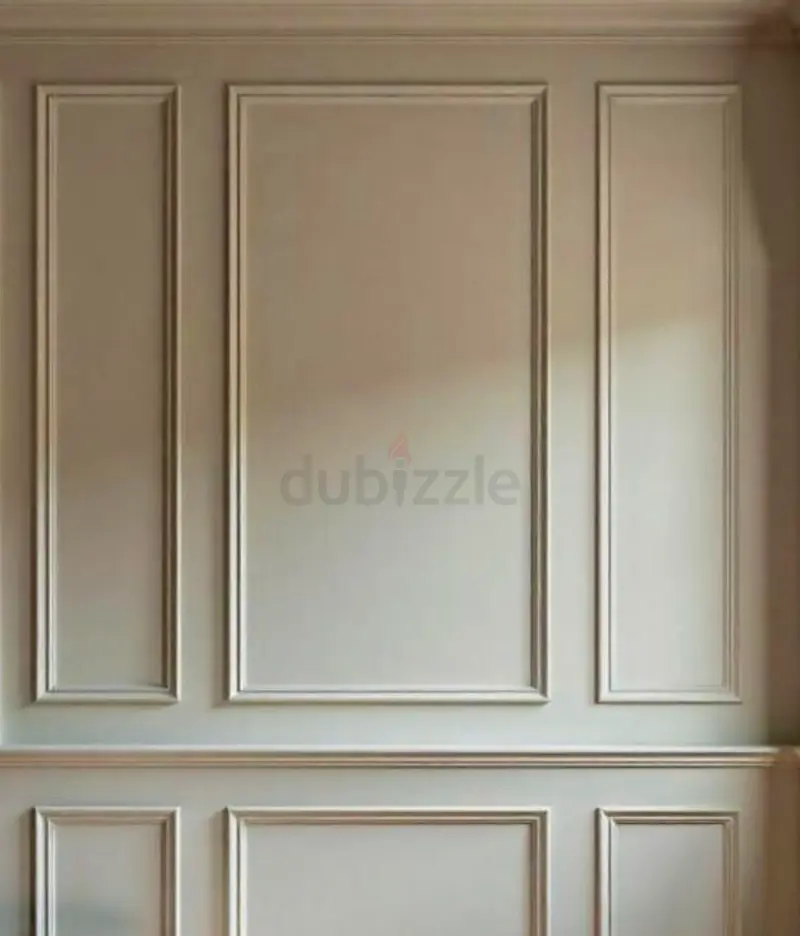 DPV_View_Image_1