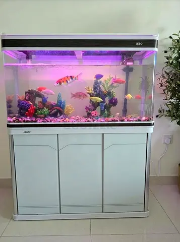 Large Glass Aquarium Tank with Cabinet Stand - Good Condition - حوض سمك كبير