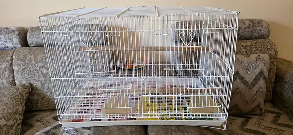 Birds cage for sale Big size