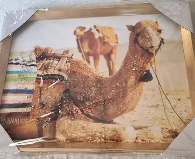 Framed Camel Desert Oil Painting - New, Ready to Hang, 40 x 30 cm