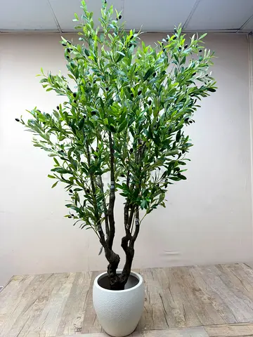 Large Artificial Olive Tree in White Planter - Indoor Decorative Plant