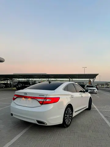 2014 Hyundai AZERA 照片 6