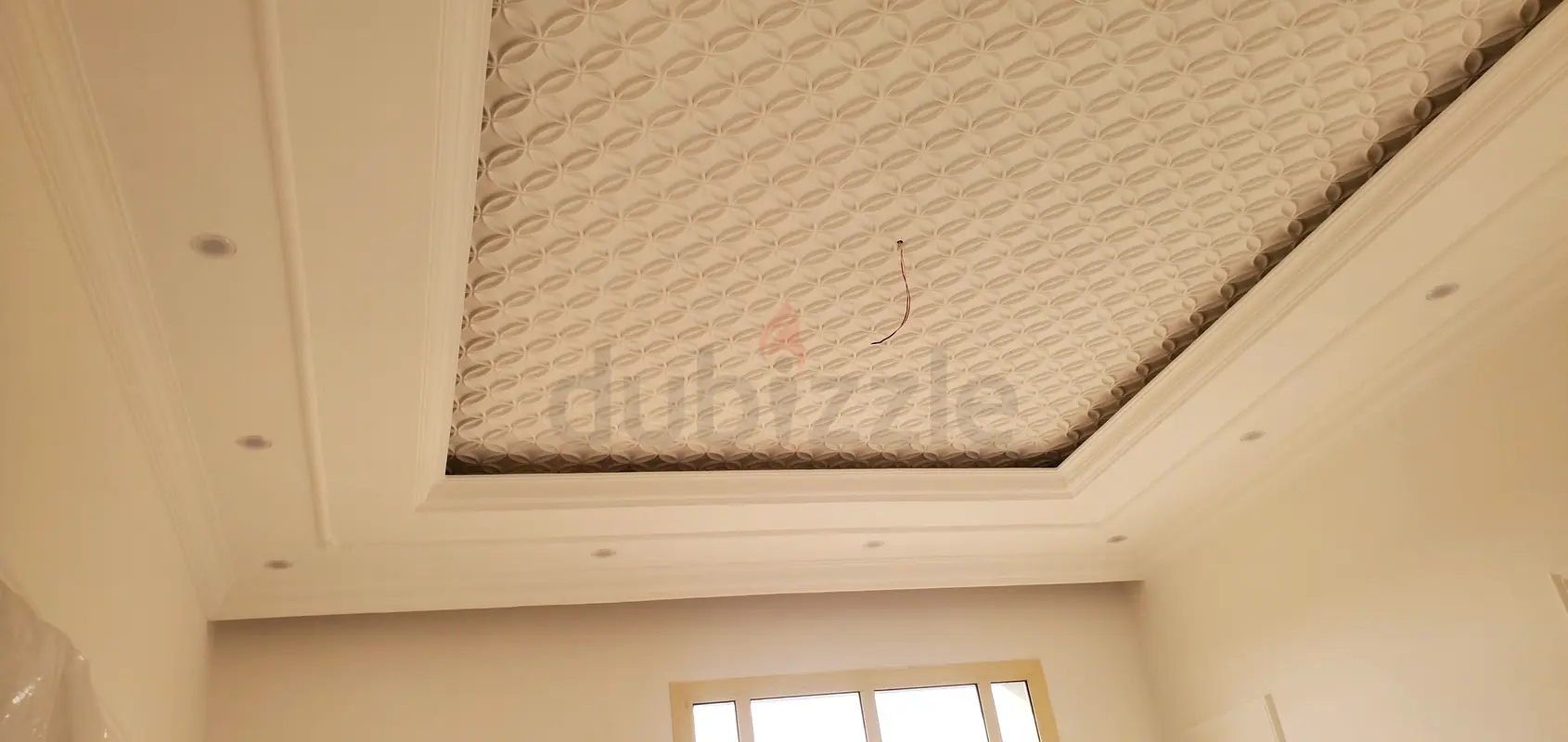 DPV_View_Image_2
