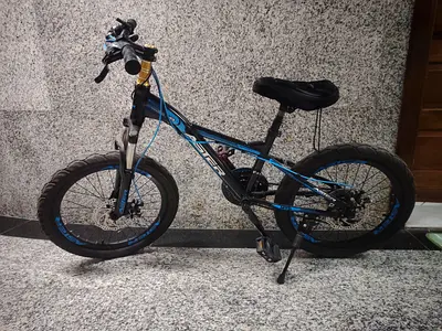 Used 14-inch kids cycle