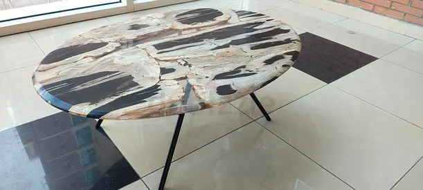 Petrified Wood With Resin Coffee Table from Marina