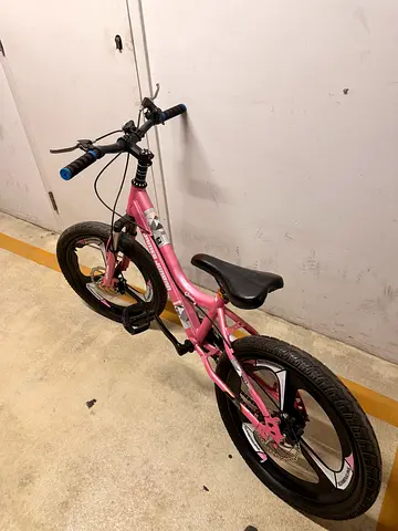 Broken bicycle for young girl