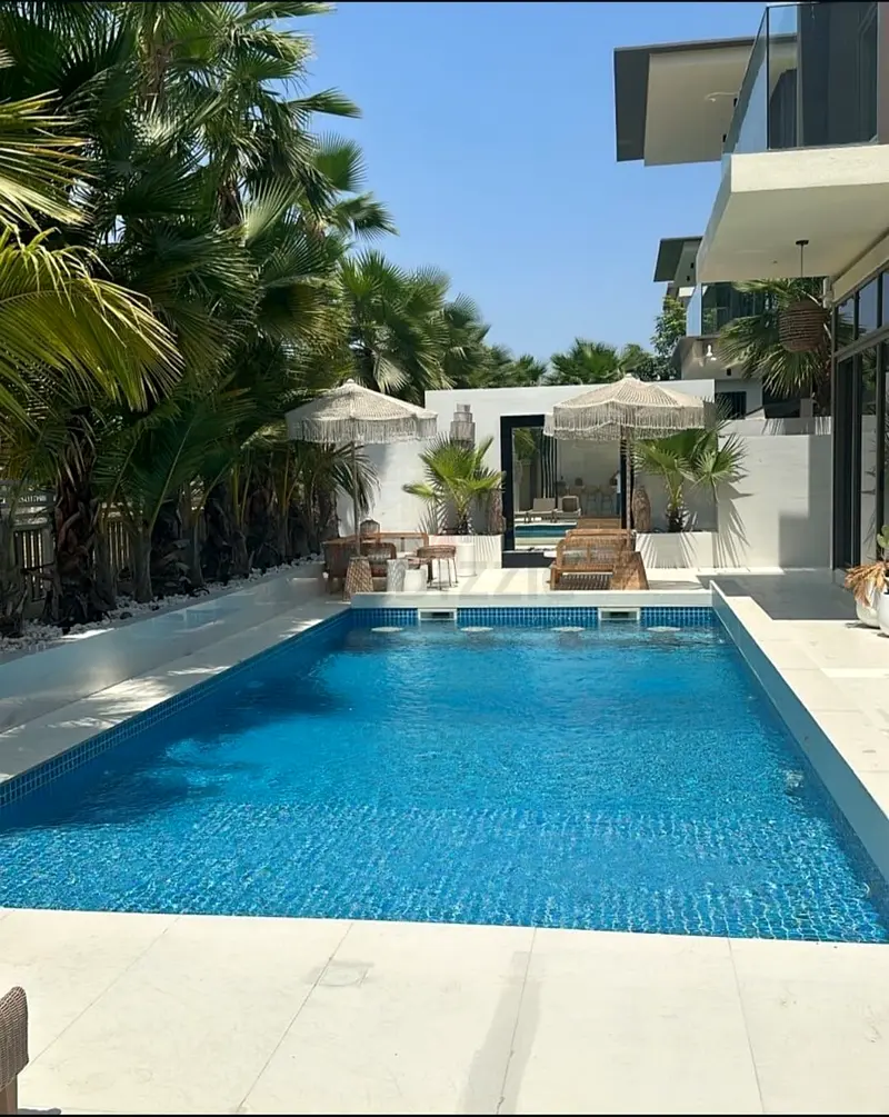 DPV_View_Image_4