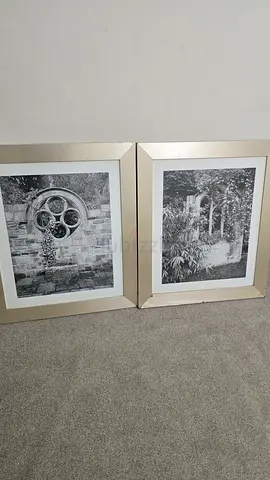 Pair of Framed Black & White Garden Photographs