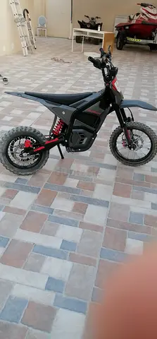 Kugoo wish 01 carbon fiber body