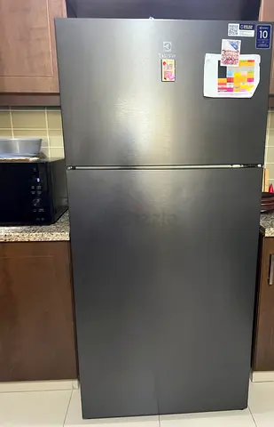 Electrolux 2-Door Refrigerator - Good Condition, 10-Year Warranty Sticker