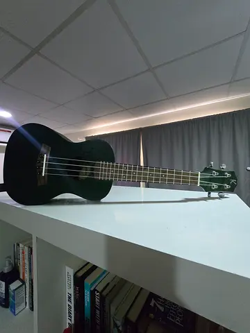 Dark Green Ukulele with 4 Strings