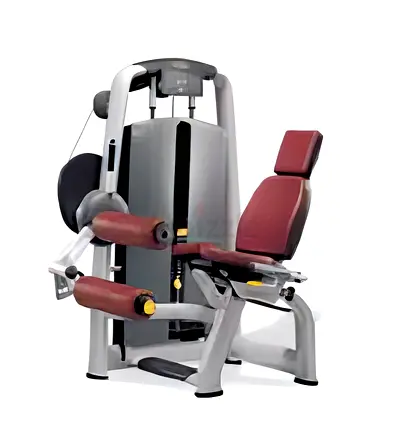 Technogym Selection Seated Leg Curl – Commercial Gym Machine
