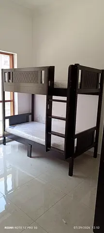 Brand new single size solid wood bunk bed with mattres available