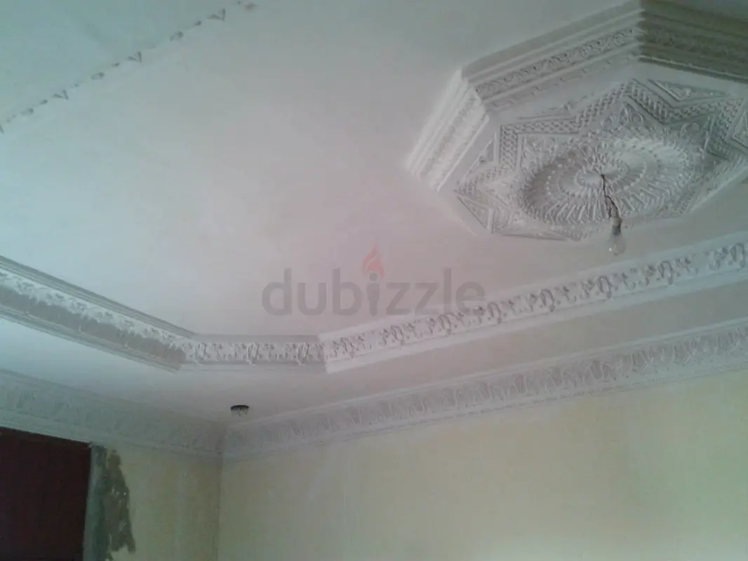 DPV_View_Image_3