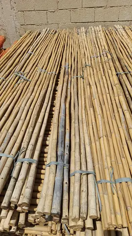 Bamboo poles and fence for sale