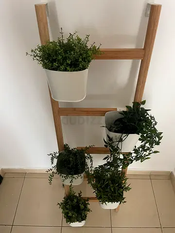 Wooden ladder plant stand with 5 white pots (used)