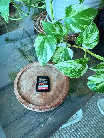 SanDisk 256GB Extreme PRO SDXC card up to 200MB/s,