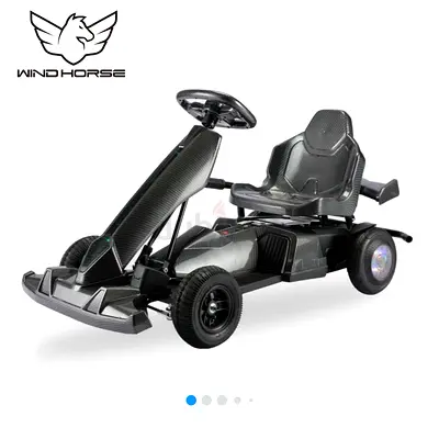 Windhorse K1 Kids Drifting Go Kart | 250W Electric Ride-On | Ages 4+ | Brand New