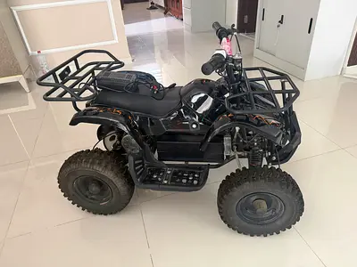 Kids Quad Bike