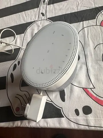 Bose home speaker 300