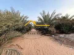 Commercial land for rent in Sharjah, Al Zubair