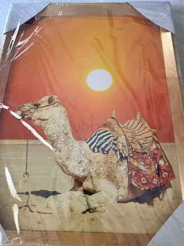 Framed Desert Camel Oil Painting with Embellished Saddle - New, Wrapped, 40 x 30 cm