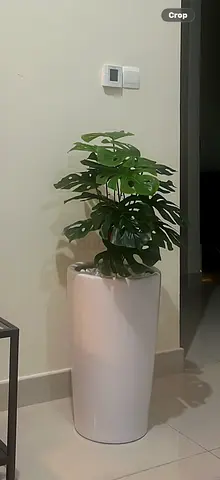 Tall white planter with artificial monstera plant