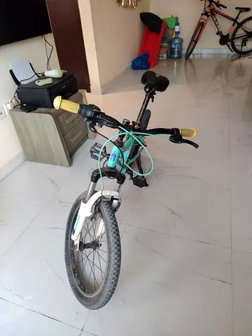 Spartan cycle