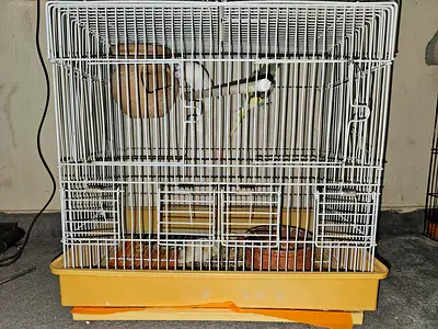 White two-level bird cage with accessories and perch (includes small budgie)