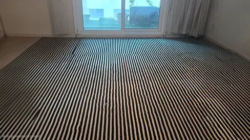 Large black and white striped area rug - good condition