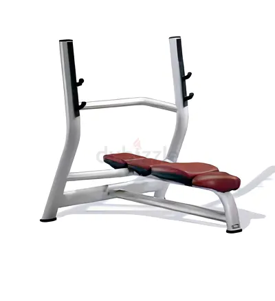 Technogym Selection Line Horizontal Bench (P924) – Commercial Olympic Flat Bench Press