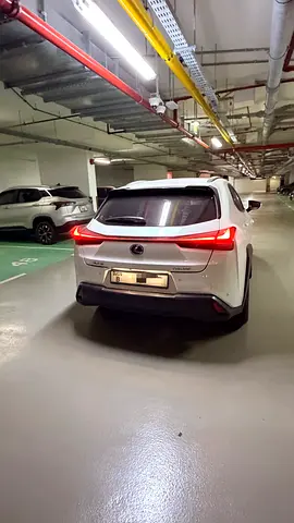 2019 Lexus UX-SERIES 照片 2