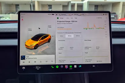 2024 Tesla MODEL 3 缩略图 16
