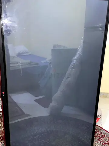 Lg television 65 pv