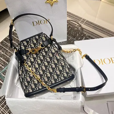 CHRISTIAN DIOR Women's C'est Dior Oblique Bag
